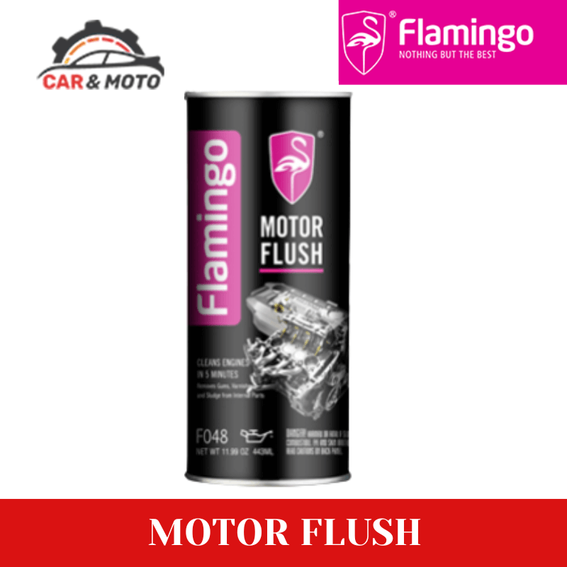 Motor Flush